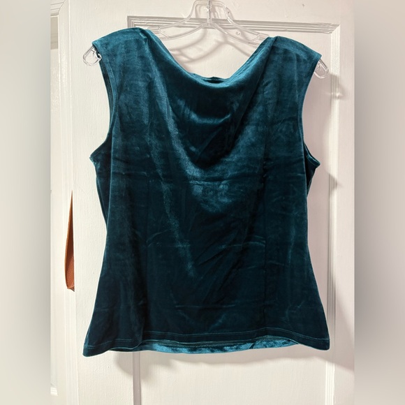 Banana Republic Teal Velvet Tank Top - Picture 2 of 3
